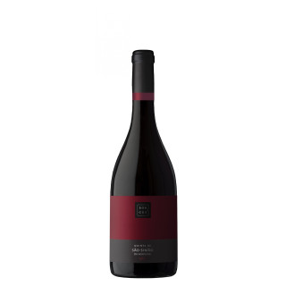 Borges Quinta São Simão Aguieira Tinto 2024 Dão 75cl Elegante e Estruturado