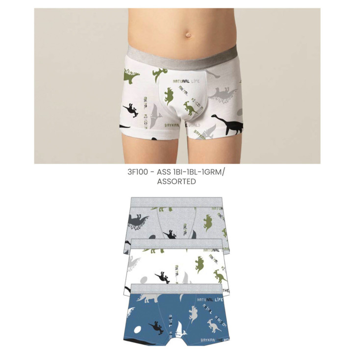 Boxer menino algodão Pack 3 unidades 2-14 anos Cotonella - COT-AB301