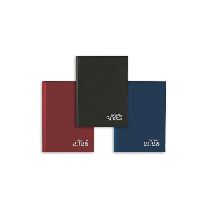 Agenda 2025 Diária secretária Ambar Classic 147x210mm Vermelha